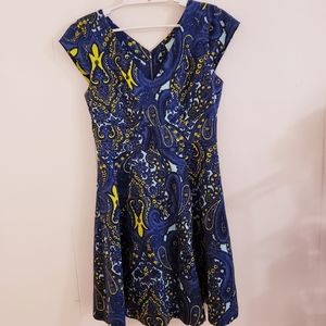 Anthropologie Plenty by Tracy Reese Dress Size 4 Blue Fit & Flare Lined Back Zip